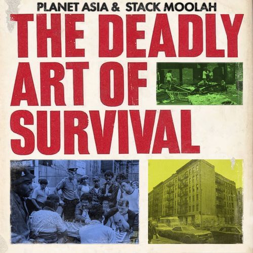 The Deadly Art of Survival cover art