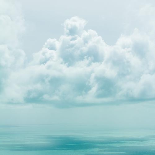 Cleansing Light cover art