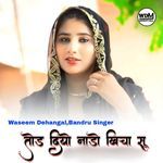 Tod Diyo Nado Khicha Su