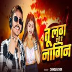 Tu Lag Rahi Hai Nagin