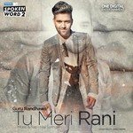 Tu Meri Rani