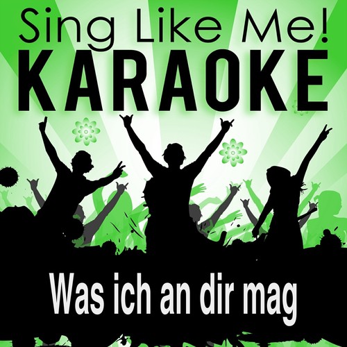 Was ich an dir mag (Karaoke Version)