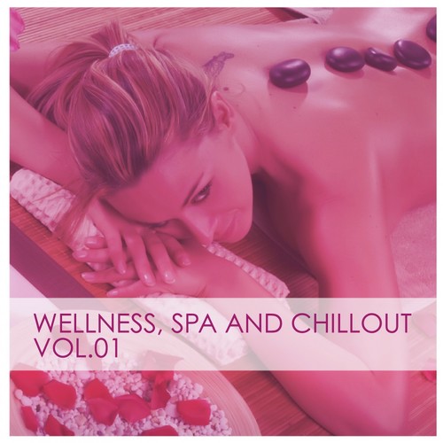 Wellness, Spa And Chillout - Deluxe Edition