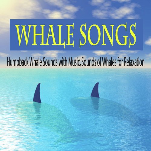 Humpback Whale Sounds With Music Lyrics - Robbins Island Music Group