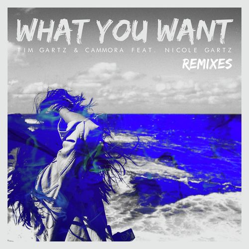 What You Want  (feat. Nicole Gartz) (Remixes)_poster_image