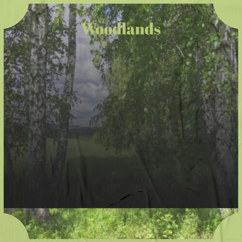 Dog Picture cover art