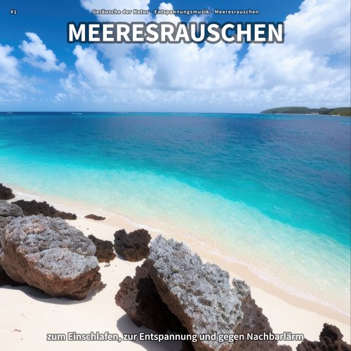 Ozeanrauschen zum Lernen cover art