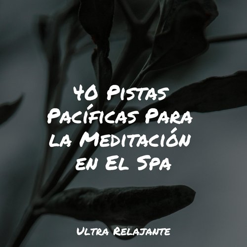 40 Pistas Pacíficas Para la Meditación en El Spa_poster_image