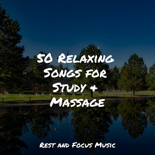 50 Relaxing Songs for Study &amp; Massage_poster_image