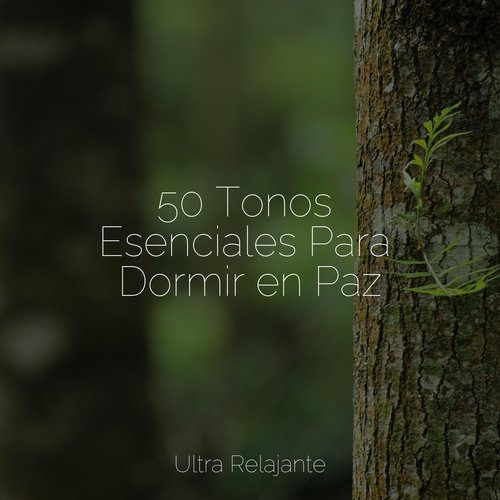 Domingo Relajado cover art