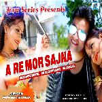 A Re Mor Sajna