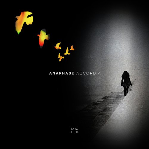 Accordia (HRRSN Remix) cover art