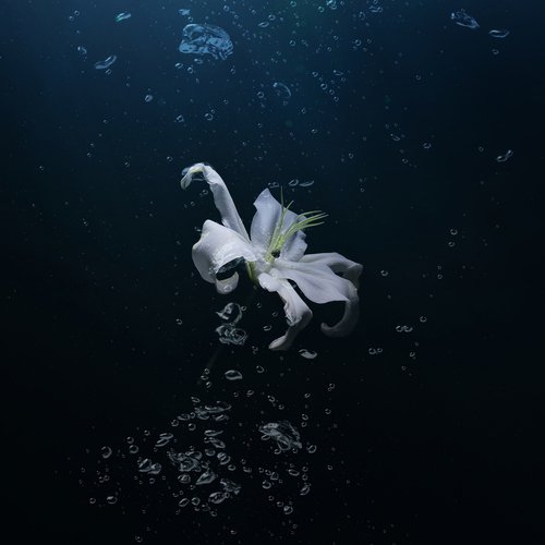 Lazy Day cover art