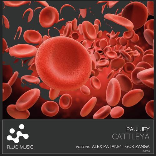 Cattleya (Igor Zanga Remix) cover art