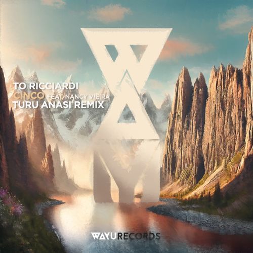 Cinco (Turu Anasi Remix) cover art