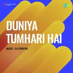 Duniya Tumhari Hai