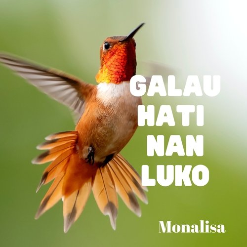 Galau Hati Nan Luko