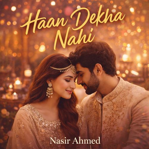 Haan Dekha Nahi