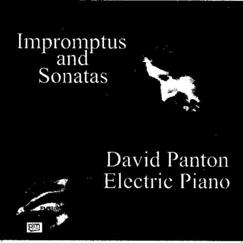 Impromptus and Sonatas - EP