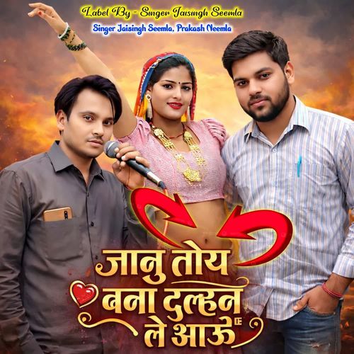 Jaanu Toy Bana Dulhan Le Aau