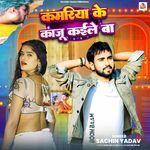 Kamariya Ke Kaju Kaile Ba