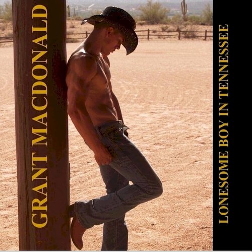 Ashton cover art