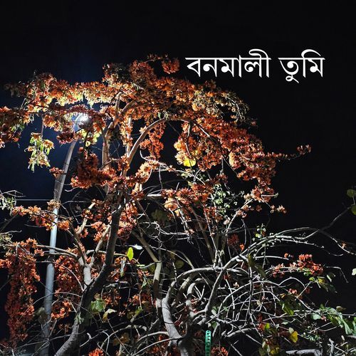 বনমালী তুমি