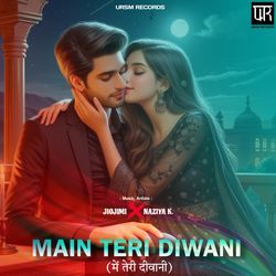 Main Teri Diwani-XTw7Qh5mU3w