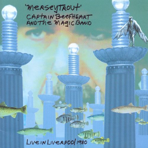 Doctor Dark (Live In Liverpool 1980) cover art