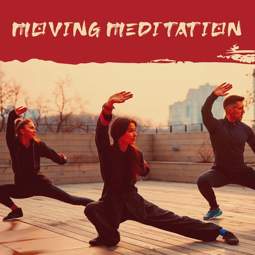 Moving Meditation: Qigong_poster_image