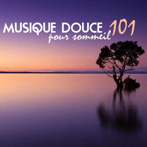Musique zen cover art