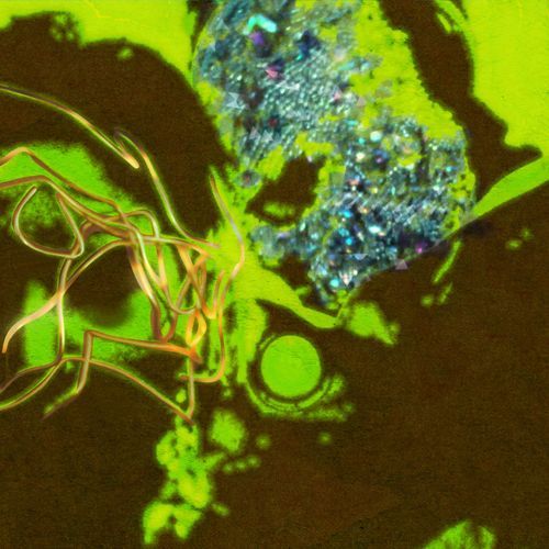 Neeye Oli (From "Sarpatta Parambarai")