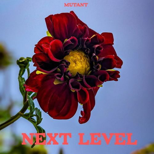 Next Level