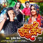 Payar Me Seema Seema Paar