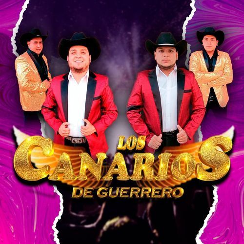 Ranchero Chidoo (Live) cover art