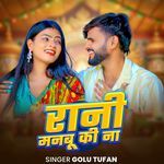 Rani Manabu Ki Na artwork
