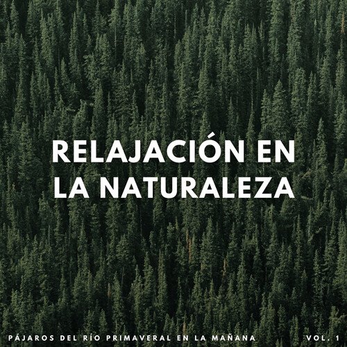 Relajarse Junto Al Río cover art