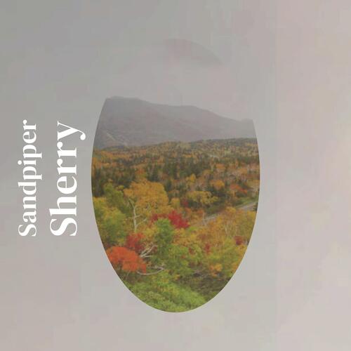 Capture Dipped cover art