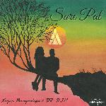 Sare Pal (Extended Mix)