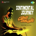 Sentimental Journey - Sunil Ganguly
