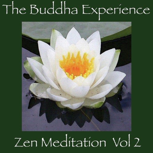 The Buddha Experience-Zen Meditation Vol. 2