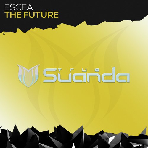 The Future (Original Mix)