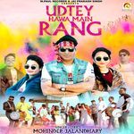 Udtey Hawa Main Rang