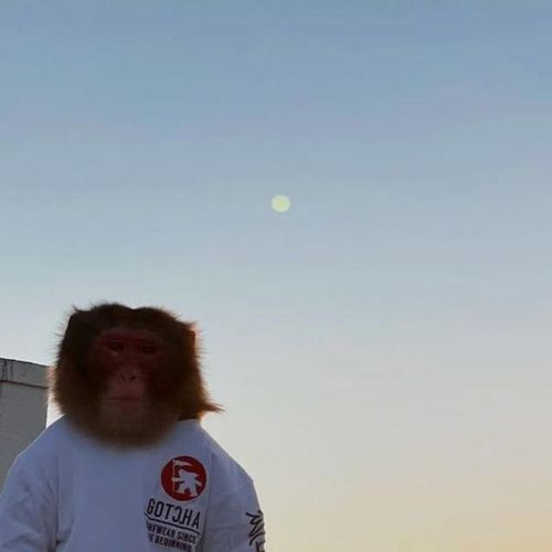 Karikakrad (feat. Angeel) cover art
