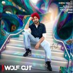 Wolf Cut