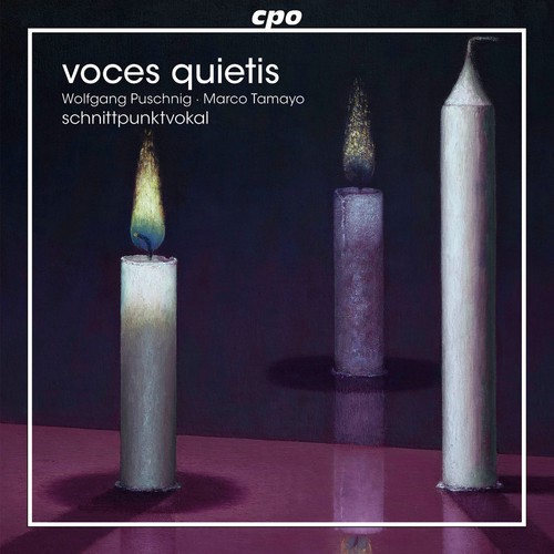 voces quietis_poster_image