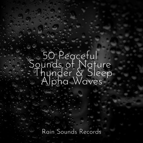 50 Peaceful Sounds of Nature - Thunder & Sleep Alpha Waves