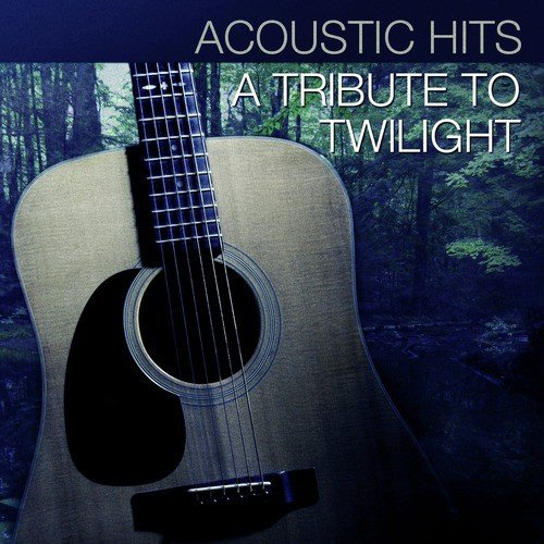 Acoustic Hits: A Tribute to Twilight