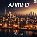 Ahmed artwork
