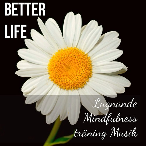 Better Life - Lugnande Mindfulnessträning Musik för Stresshantering Massage Terapi Andlig Healing